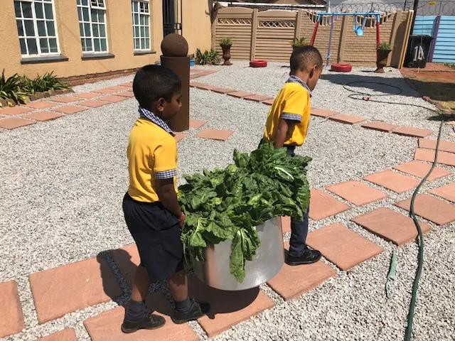 Growing through hands-on learning
