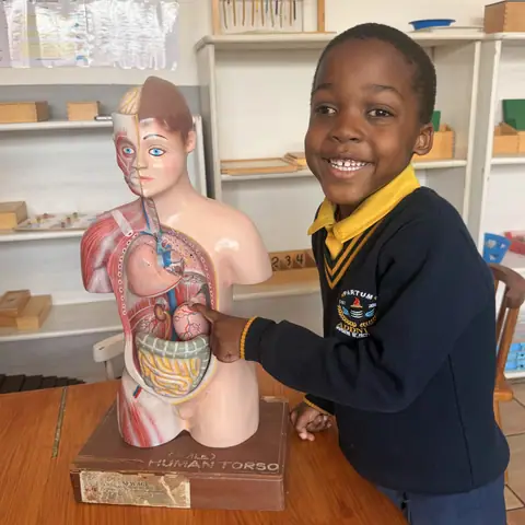 Learning how the body works