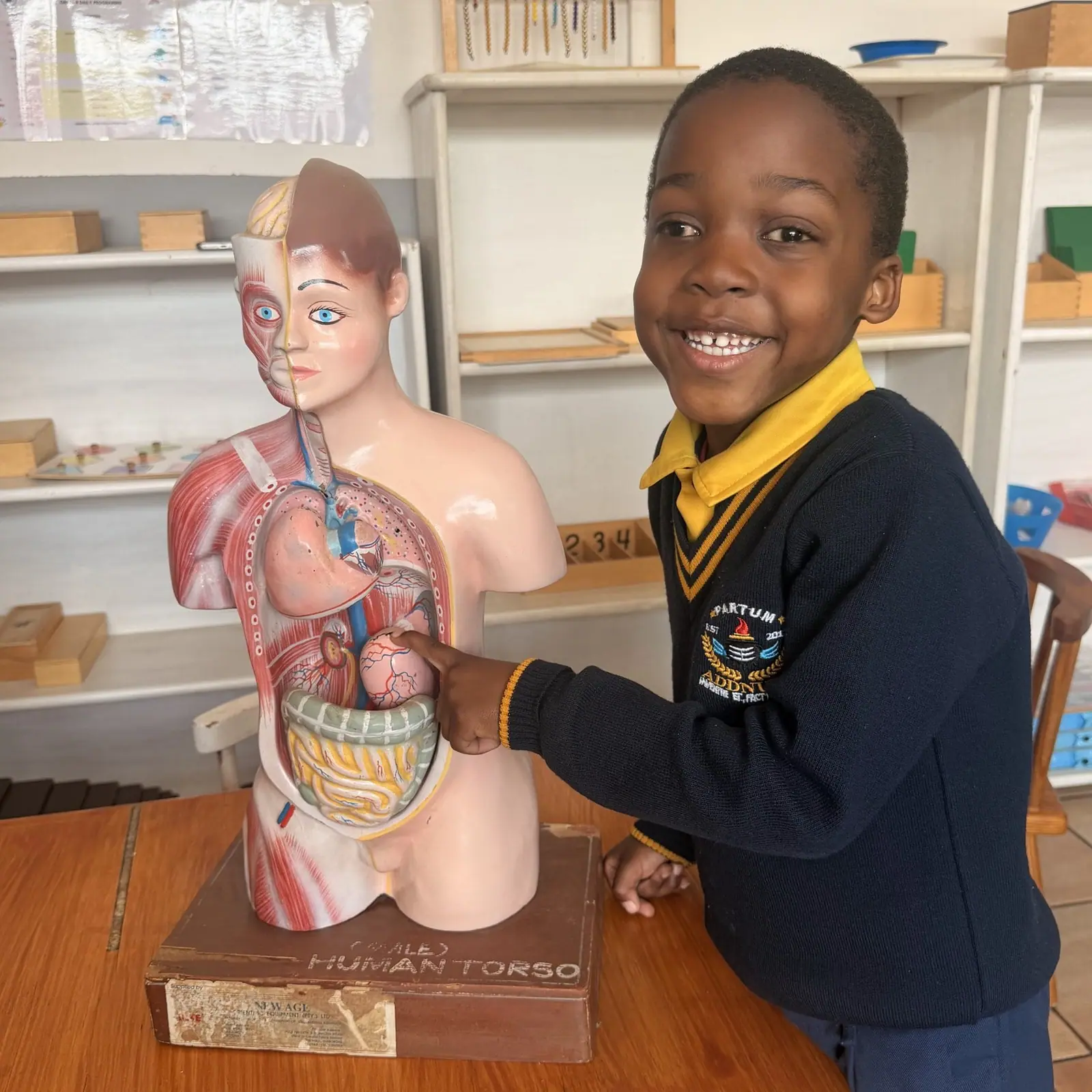 Learning how the body works